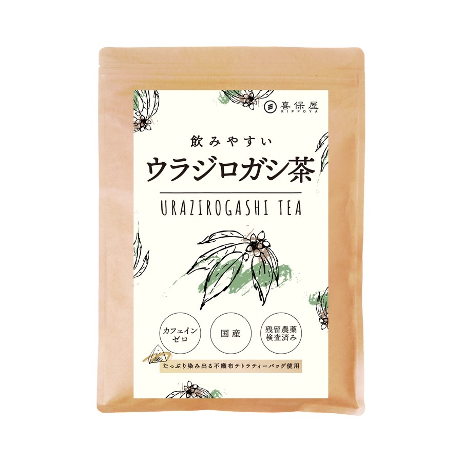 ウラジロガシ茶